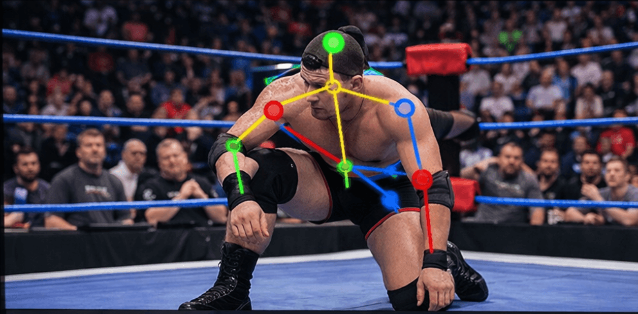 Wrestler pose analysis frame